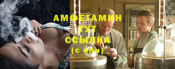 PSILOCYBIN Богданович